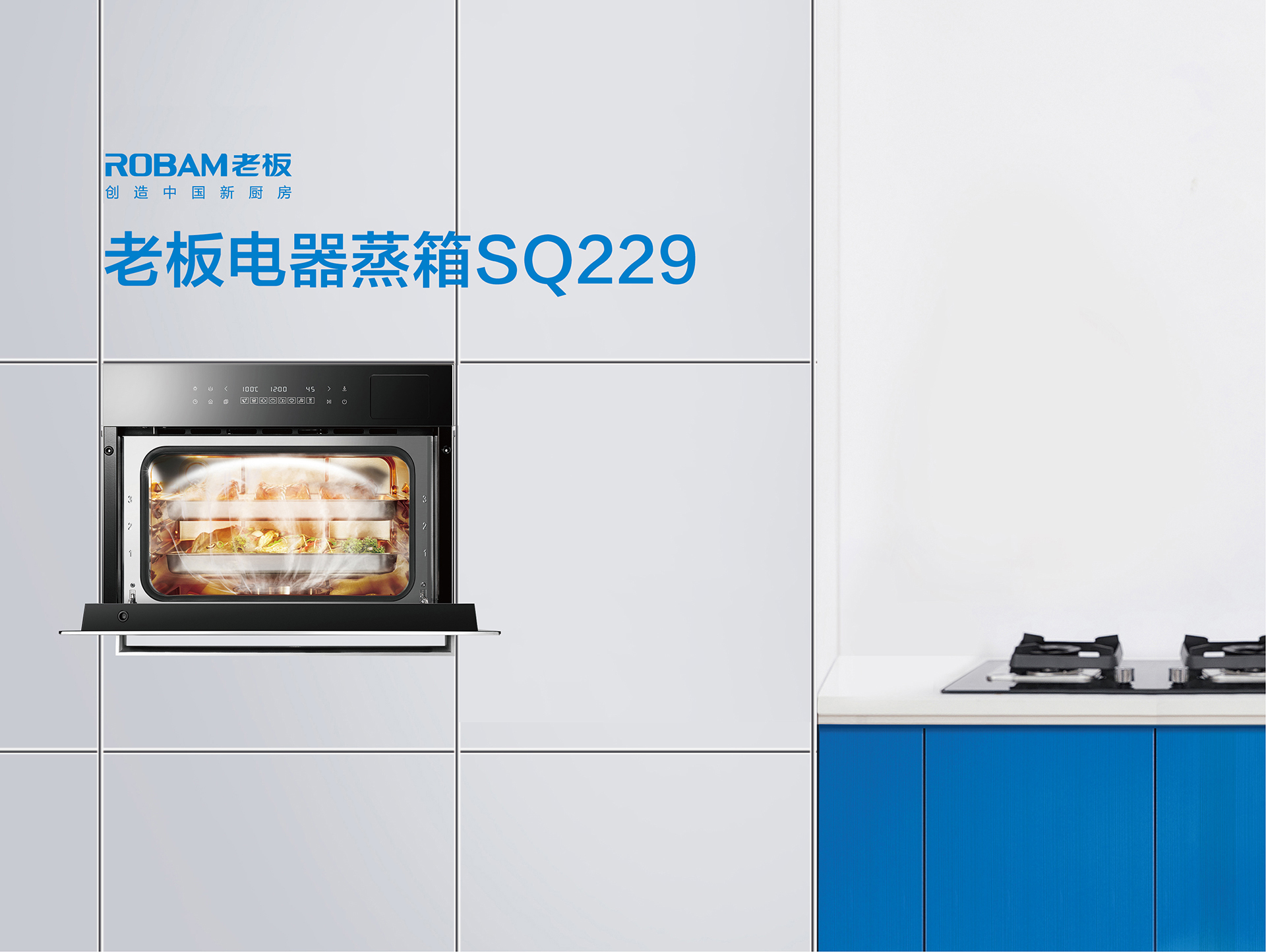 开云手机在线登陆入口蒸烤经典系列-SQ229-RQ019册子-封面-封底_02.jpg